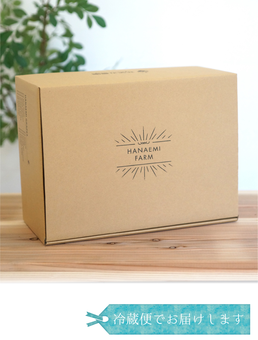 G-2 [家庭用2kg] 瀬戸ジャイアンツ【9月下旬～発送開始】 | 花笑み農園